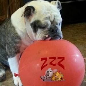 Meet your Posher, Brenda