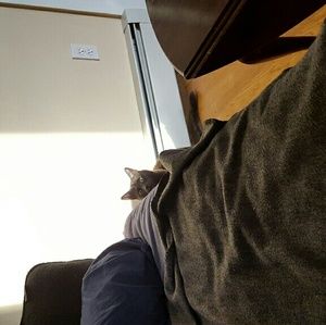 Meet your Posher, Jean