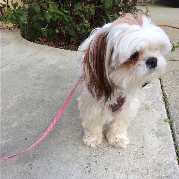 Meet your Posher, Janelle