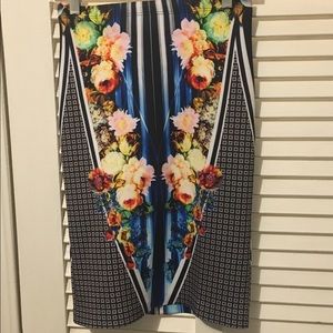 Clover canyon skirt