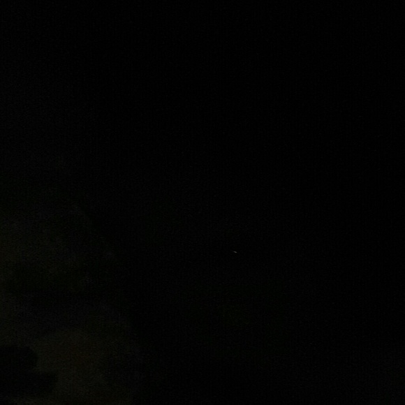 Meet your Posher, Bonnie