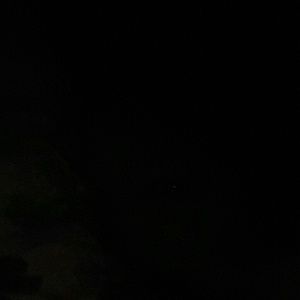 Meet your Posher, Bonnie