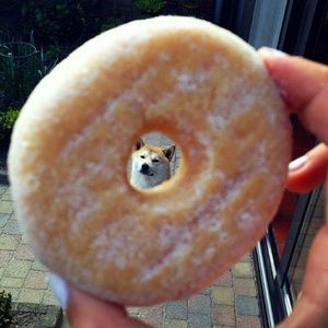 Meet your Posher, Cecilia