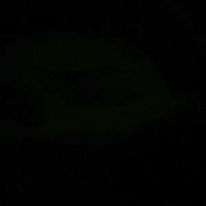 Meet your Posher, Roberto