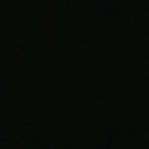 Meet your Posher, Beverly