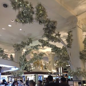 Meet your Posher, Allie