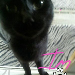 Meet your Posher, Pauline