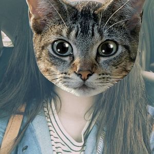 Meet your Posher, Phuong