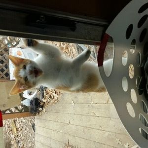 Meet your Posher, Victoria