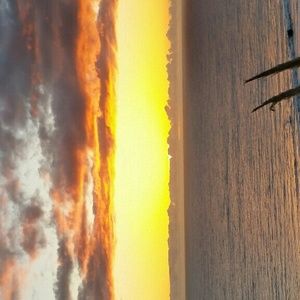 Meet your Posher, Sherri