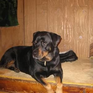 Meet your Posher, Kylie