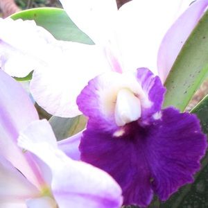 Meet your Posher, A creative