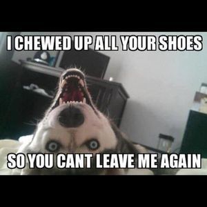 Meet your Posher, Colin