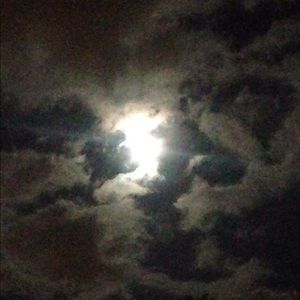 Meet your Posher, Camille