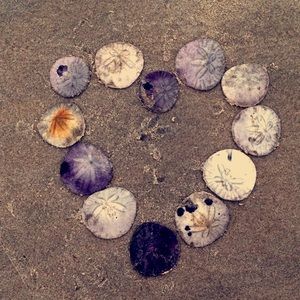 Meet your Posher, Rye