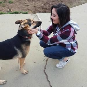 Meet your Posher, Alma