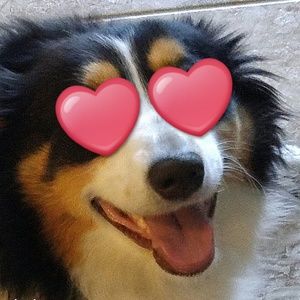 Meet your Posher, Danae