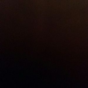 Meet your Posher, Roniqua