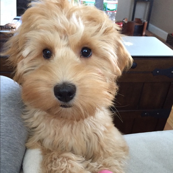 Hi guys! I'm Lauren... - Picture 10 of 10
