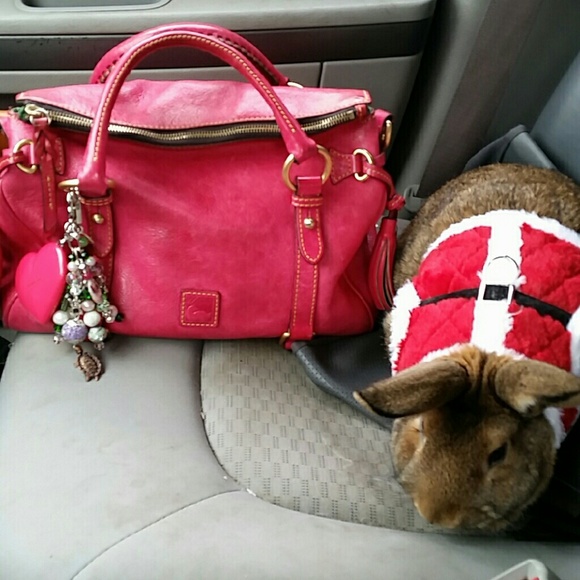 Meet your posher - Picture 2 of 2