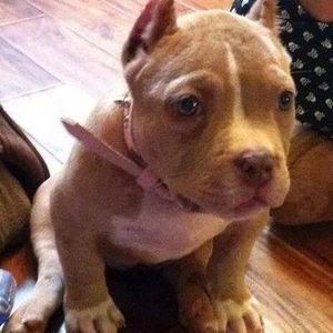 Meet your Posher, Jackie