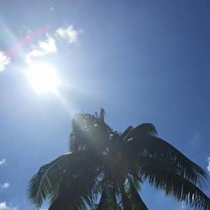 Meet your Posher, Kelley