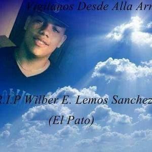 Meet your Posher, Freddy