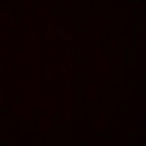 Meet your Posher, Shellie