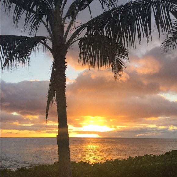 Meet your Posher, Kellsey - Picture 2 of 4