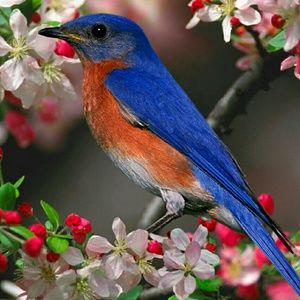 Meet your Posher, Debra