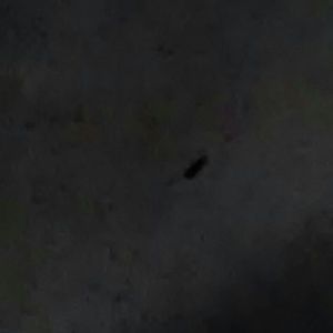 Meet your Posher, Fred