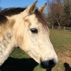 Meet your Posher, Caroline