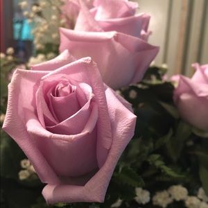 Meet your Posher, Aytza