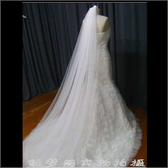 Cathedral length ivory veil ,