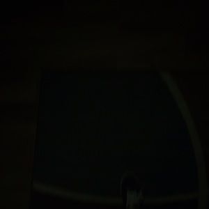 Meet your Posher, Bella