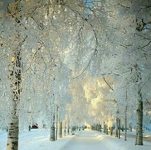 Meet your Posher, Katrina