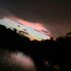 Meet your Posher, Jake