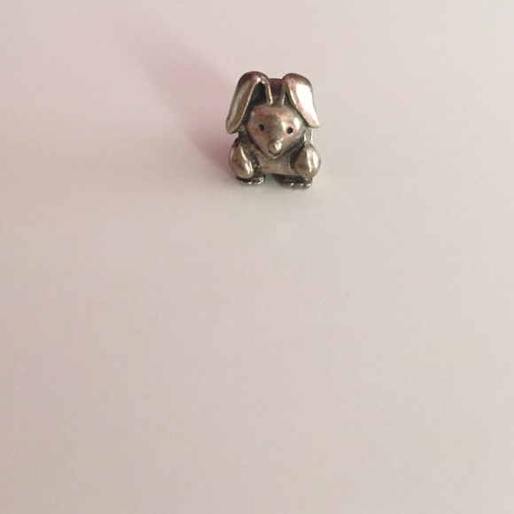 Pandora charm