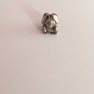 Pandora charm