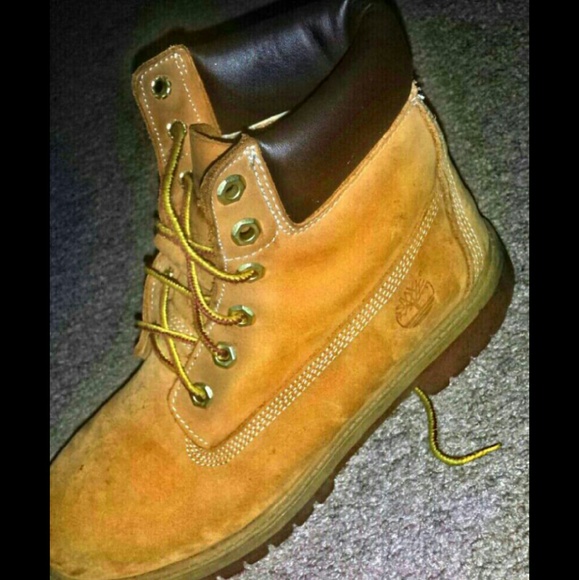 timberlands