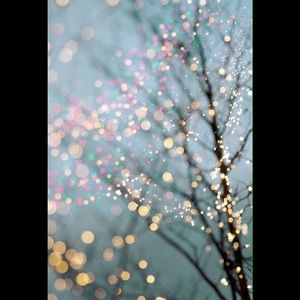 Meet your Posher, Heidi