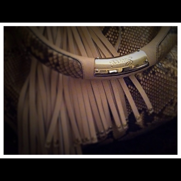 New Gucci Python Purse - Picture 3 of 4