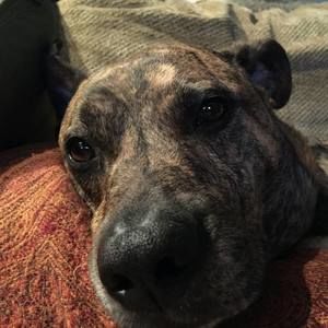 Meet your Posher, Jasmin