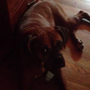 Meet your Posher, Danielle