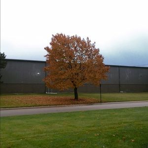 Meet your Posher, Cesar