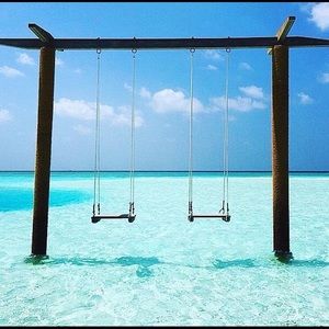 Meet your Posher, Ivon