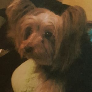 Meet your Posher, Janet