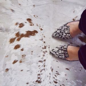 Meet your Posher, Hayley