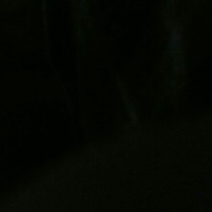 Meet your Posher, Braeden