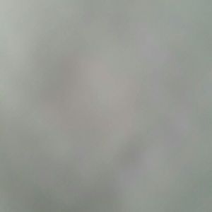 Meet your Posher, Carly